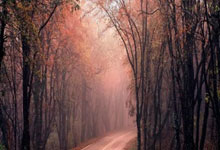 亚冬会带火冰雪小镇！滑雪教练：20人→500人，忙到飞起央视新闻客户端.