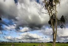 开云体育官网：苏翊鸣：拿到米兰冬奥会积分是北京站最重要目标中国新闻网.