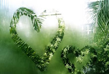 开云体育官网：[德甲]博尼费斯独中两元 勒沃库森客场获胜.