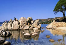 开云体育官网：疯三8强战：休斯顿大学顺利通关 分区头名齐聚四强.